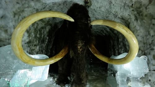 Страсти по мамонту Bild 1