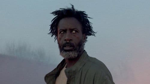 Akilla's Escape Bild 4