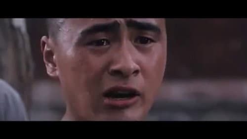 Das Vermächtnis der Shaolin Bild 2