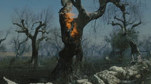 Il Tempo dei Giganti Bild 1