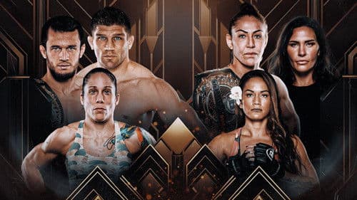 Bellator 300: Nurmagomedov vs. Primus Bild 4