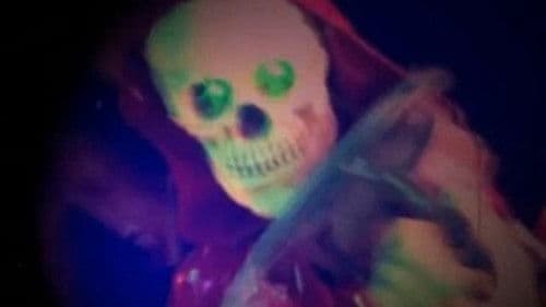 Showgirls: Exposed Bild 1