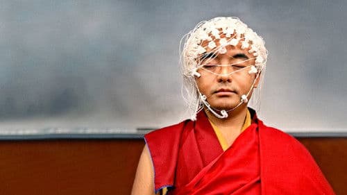 Explained: Unser Kopf Bild 3