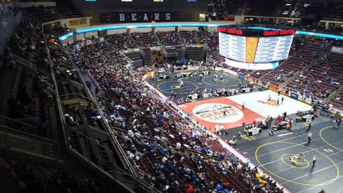 Iron Maidens: Wrestling for Glory Bild 1