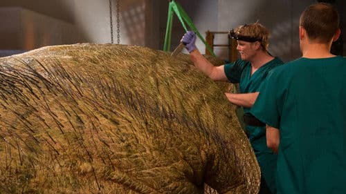 T. Rex Autopsy Bild 8