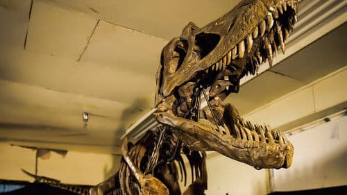 Dino-Duell: Kampf der Giganten Bild 2