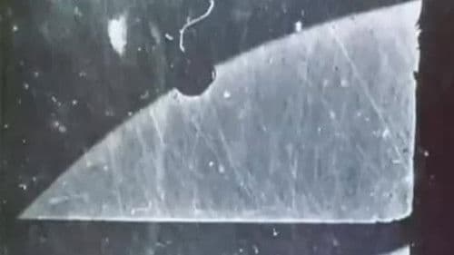 Passage de Venus Bild 2