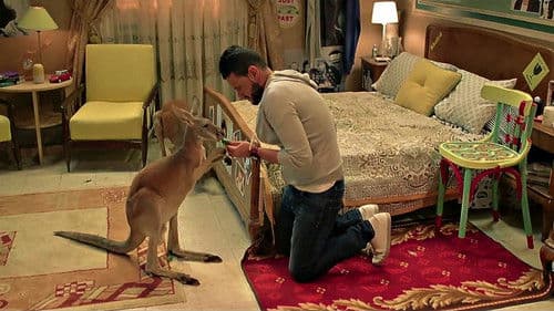 كنغر حبنا Bild 7