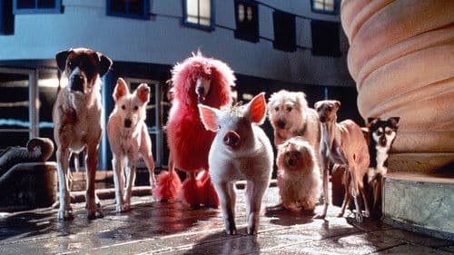 Schweinchen Babe in der großen Stadt Bild 8