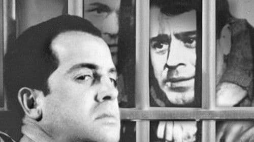 You Can't Beat the Law Bild 1