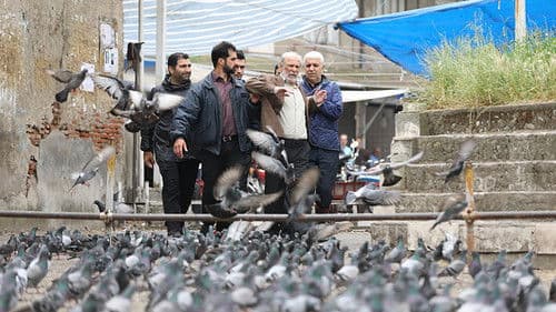 Shokouhe Khamoush Bild 1