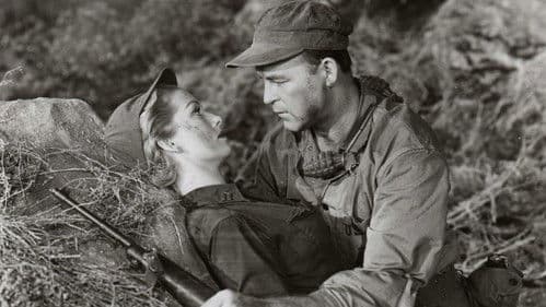 Den Letzten beißen die Hunde Bild 1