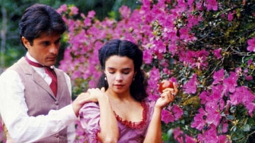 Helena Bild 1