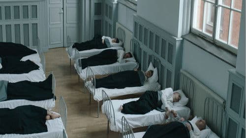 Sockerexperimentet Bild 7