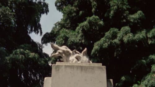 Fortini/Cani Bild 6