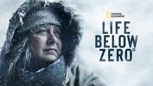 Life Below Zero Bild 3