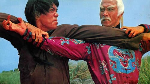 Die 10 siegreichen der Shaolin Bild 2