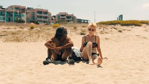 The Last Seagull Bild 2