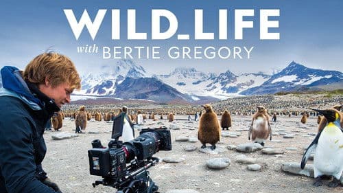 Wild Life with Bertie Gregory Bild 4