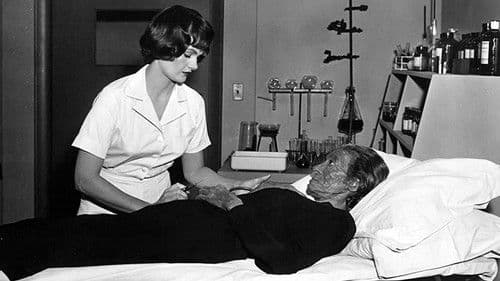 Der Fluch der Urwaldhexe Bild 3