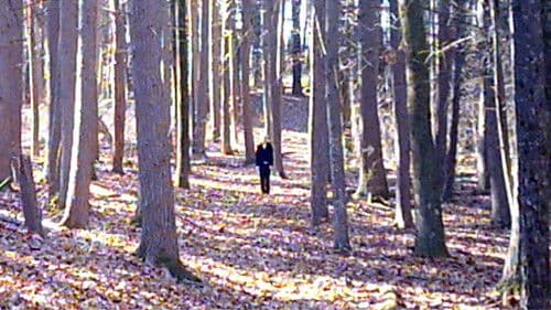 I'll Try Living Like This Bild 1