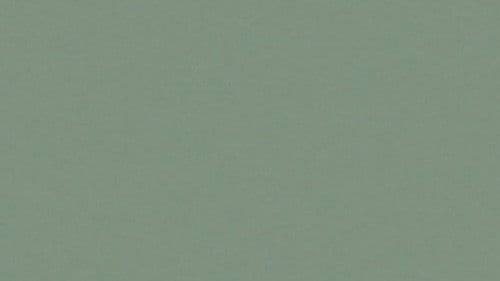 Gina Telaroli Bild 1