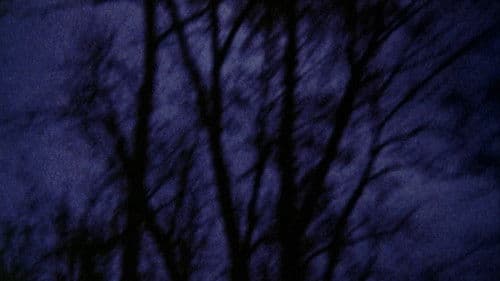 Anticipation of the Night Bild 2