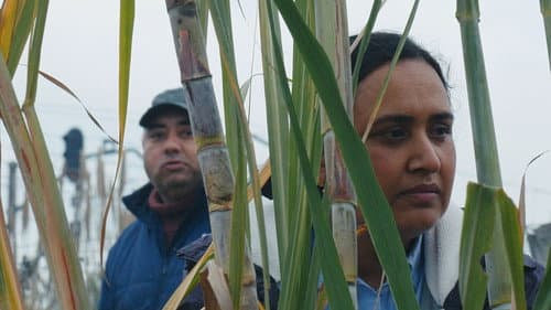 Historias del buen valle Bild 1