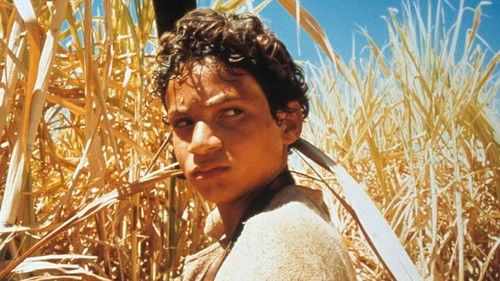 Hinter der Sonne Bild 2