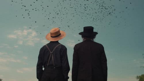 The Harvesting - Die Sonnenwende naht Bild 1