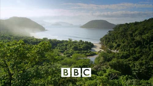 Wildes Brasilien Bild 2