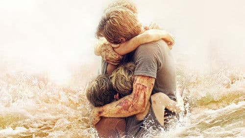 The Impossible Bild 6