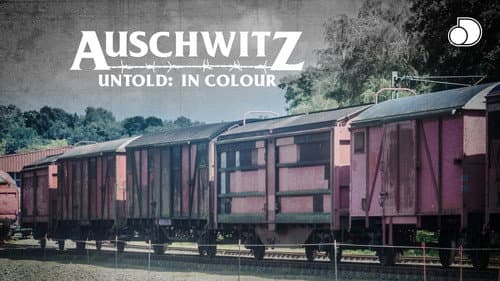 Auschwitz Untold: In Colour Bild 3