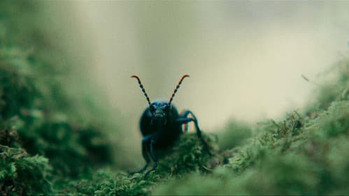 Du bout des doigts Bild 3