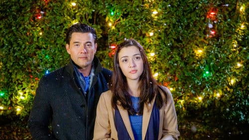 Eine Buchhandlung zu Weihnachten 2 Bild 7