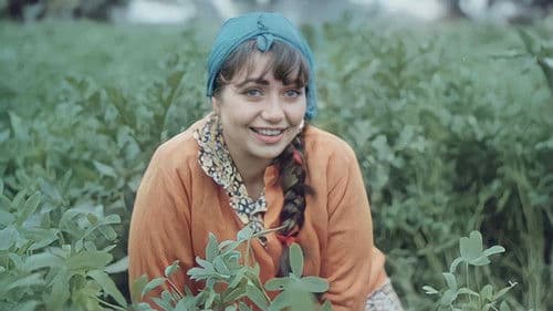 خرج ولم يعد Bild 1