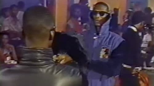 T.V. Transvestite Bild 2