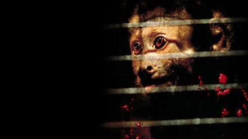 Der Affe im Menschen Bild 1