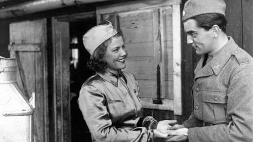 Landstormens lilla argbigga Bild 2