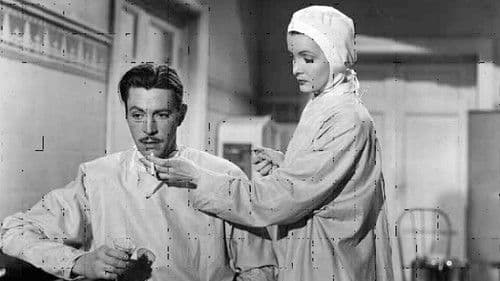 Mirad los lirios del campo Bild 2