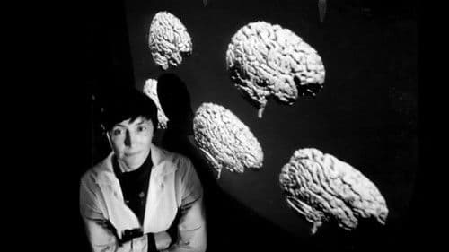 Unraveling The Creative Mind Bild 2