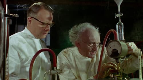 Der Mönch mit der Peitsche Bild 2