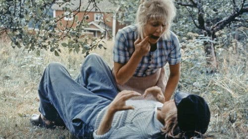 Michel aus Lönneberga Bild 5