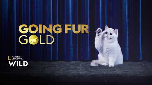 Going Fur Gold Bild 6