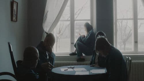 Sockerexperimentet Bild 2