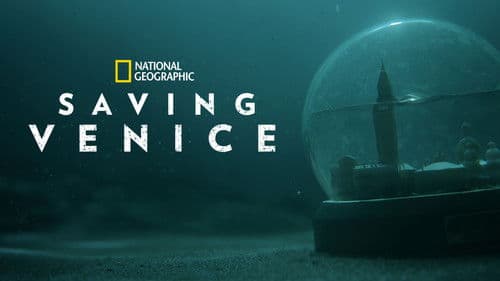 Venedig – Rettung vor dem Hochwasser Bild 6