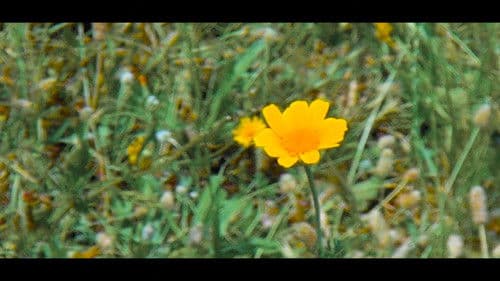 Kinetic: The Art of Oneself Bild 1