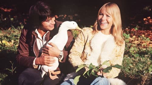 Grün ist die Heide Bild 2