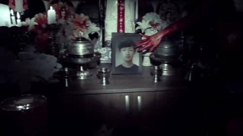 마루이 비디오 Bild 2