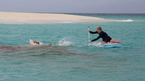 Hai-Alarm im Paradies Bild 2